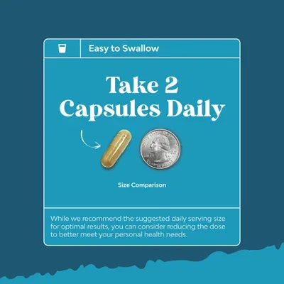 Secondary Images for Nootropic Brain Supplement for Memory and Focus Support