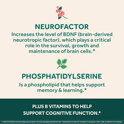 Highlights multiple ingredients and their specific benefits for brain health and cognitive function.