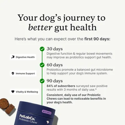 Explains the expected timeline and benefits of using the probiotic chews for dogs over a 90-day period, highlighting improvements in digestive health, immune support, and overall wellbeing.