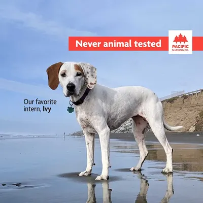 Reassures customers that the company's products are ethically produced without animal testing. Reinforces the brand's commitment to ethical practices and creates an emotional connection with…