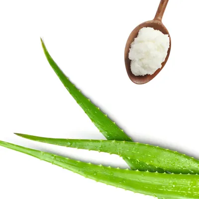Highlights the use of natural aloe vera and coconut oil as key ingredients in the product, emphasizing its natural and potentially soothing properties.