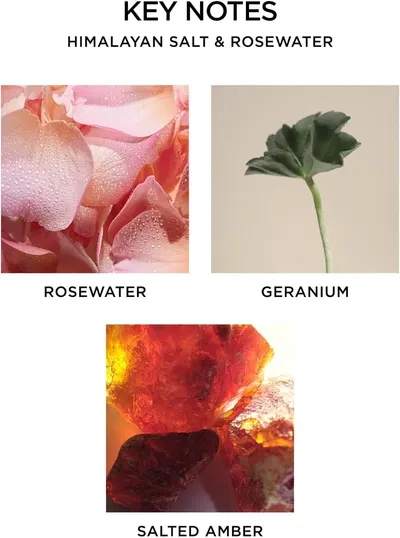 Highlights the main scent components of the product to inform customers about its fragrance profile.