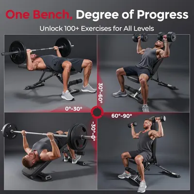 Shows the applications of different exercises that can be accomplished with the bench. 

Condensed: Angle Adjustment Applications