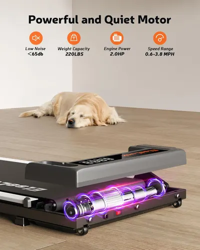 Highlights multiple key features of the treadmill motor to demonstrate its power, quietness, and versatility for home use.