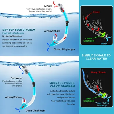 How to graphic showing how the dry snorkle function works. Anatomy elements point to different areas of the product to explain it's functionality. 