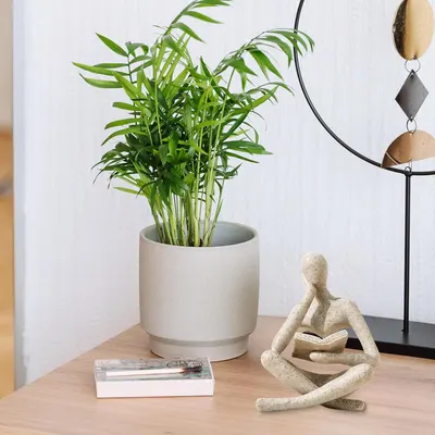 Shows the product in a real-world context to demonstrate how it enhances home decor and creates a calming atmosphere.