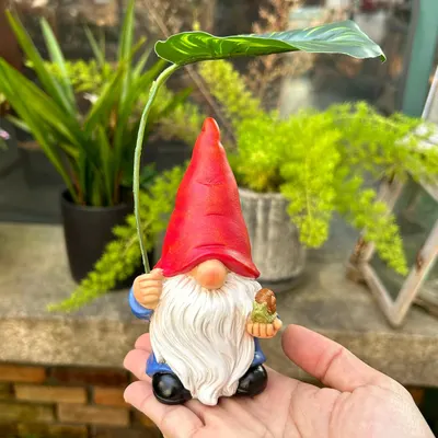 Shows the product in a real-world garden context to demonstrate its use as a decorative item for outdoor spaces.