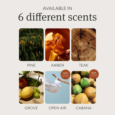 Showcases the variety of scents available for the product, helping customers understand the range of options and find their preferred fragrance.