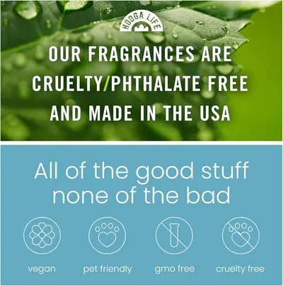 Secondary Images for HoogaLife Car Air Freshener Diffuser 2 Pack Hanging Air Freshener Diffuser