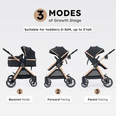 Secondary Images for 2 in 1 Baby Stroller