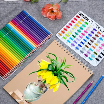 Shows the complete set of art supplies included in the product, highlighting the variety of colors and complementary items for drawing and coloring.