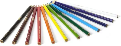 Showcases the range of colors available in the colored pencil set, allowing customers to see the full spectrum of options included.