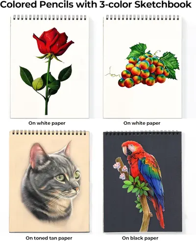 Demonstrates the colored pencils' ability to create vibrant artwork on different paper types, showcasing versatility and quality of results.