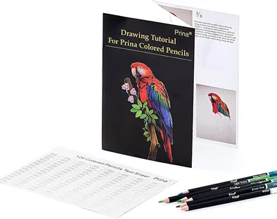 Provides step-by-step instructions on how to draw a parrot using Prina colored pencils, helping customers understand the product's application and capabilities.