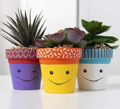 Showcases the product in a real-world context, demonstrating how these colorful, personified planters can add charm and character to a home or office space.