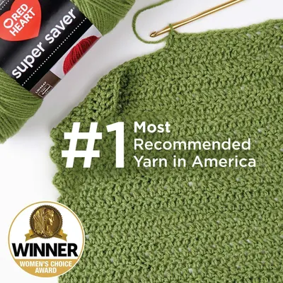 Highlights the yarn's status as the #1 most recommended in America and its Women's Choice Award, building credibility and trust with potential buyers.