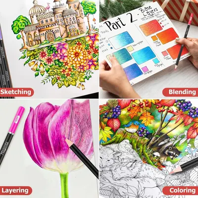 Demonstrates different coloring techniques and applications for colored pencils, including sketching, blending, layering, and coloring.