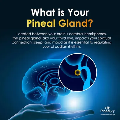 Secondary Images for Pineal XT Gold