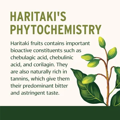 Educates customers about the key bioactive compounds in Haritaki fruits, highlighting their natural chemical composition and potential health benefits.