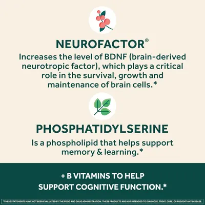 Highlights multiple ingredients and their benefits for brain health and cognitive function.