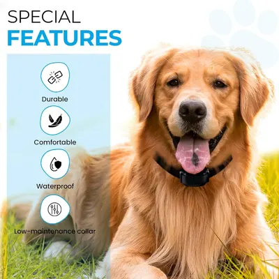 Showcases four key features of the dog collar to communicate its durability, comfort, waterproof design, and ease of maintenance, helping shoppers understand multiple benefits at once.
