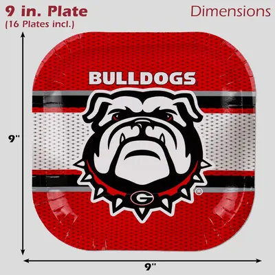 Communicates the exact size of the plate (9 inches) and quantity included (16 plates) to help shoppers understand the physical dimensions and what they will receive.