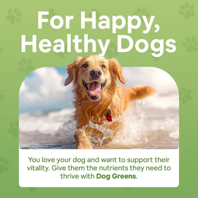Establishes brand identity and emotional connection by emphasizing the product's mission to support happy, healthy dogs through proper nutrition.