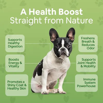 Showcases six distinct health benefits of the product to demonstrate its comprehensive wellness support for dogs, emphasizing natural ingredients and multiple selling points.