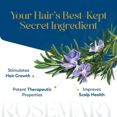 Highlights multiple benefits of the secret ingredient (rosemary) to reassure shoppers that the product delivers comprehensive hair care results including growth stimulation, therapeutic properties,…