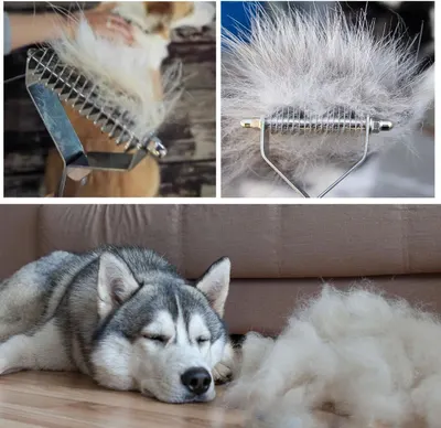 Demonstrates the effectiveness of the grooming tool by showing the large amount of pet hair collected from the dog, proving the product delivers real results for pet owners dealing with shedding.