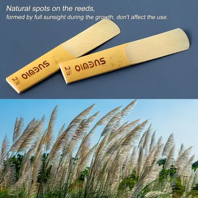Reassures customers that natural spots on the reeds are normal and do not affect the product's functionality or quality.