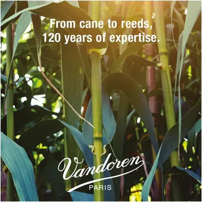 Emphasizes the brand's long history and expertise in reed production to build trust and credibility with shoppers.