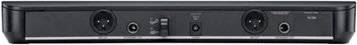 Shows the back panel of the audio device with all input and output ports labeled, helping customers understand connectivity options and technical specifications.