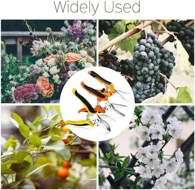 Demonstrates the versatility of the pruning shears by showing multiple real-world applications across different gardening and plant care scenarios, reassuring shoppers that the product works for…