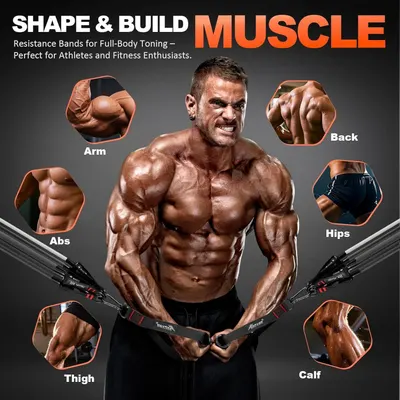 Demonstrates the versatility of the resistance bands by showing multiple muscle groups and body areas that can be targeted, reassuring shoppers that this is a comprehensive full-body workout solution.