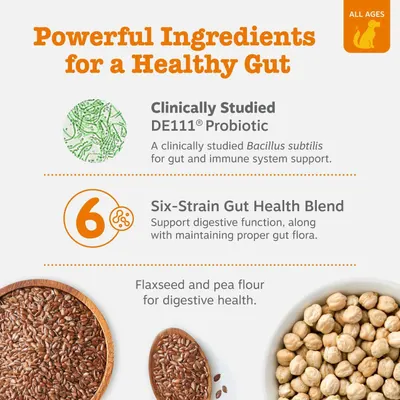 Communicates multiple distinct gut health benefits through a segmented layout, highlighting the clinically studied probiotic, six-strain blend, and digestive health ingredients to reassure shoppers…