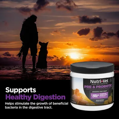 Communicates that the product supports healthy digestion in dogs by promoting beneficial bacteria growth, using an emotional lifestyle backdrop to connect with pet owners.