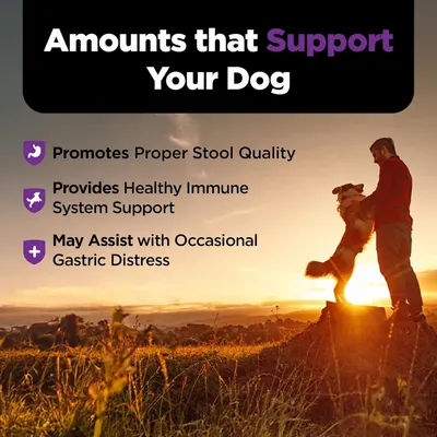 Communicates multiple health benefits of the product for dogs, including stool quality, immune system support, and gastric distress relief, to reassure pet owners of comprehensive wellness support.