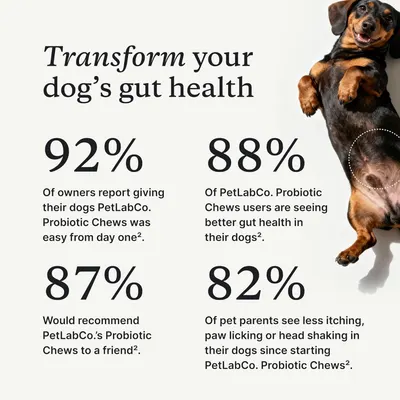 Communicates multiple quantifiable customer satisfaction and product effectiveness statistics to build trust and demonstrate the probiotic chews' proven results in improving dog gut health.…