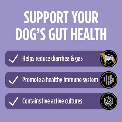 Communicates multiple distinct health benefits of the product for dogs' gut health, using a visually segmented checklist layout to highlight three key selling points.