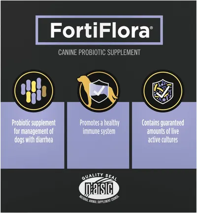Communicates three distinct benefits of the canine probiotic supplement in a segmented layout to show comprehensive health support for dogs.