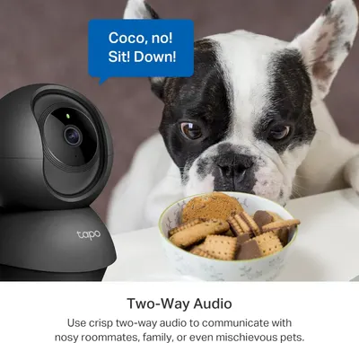 Demonstrates the camera's two-way audio feature, showing how users can communicate remotely with pets or family members to give commands or interact in real-time.