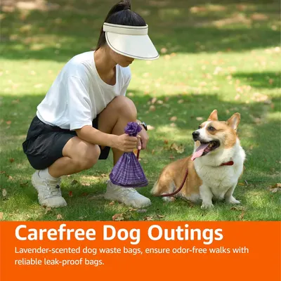 Communicates that these dog waste bags are lavender-scented and leak-proof, ensuring a pleasant, worry-free experience during dog walks.