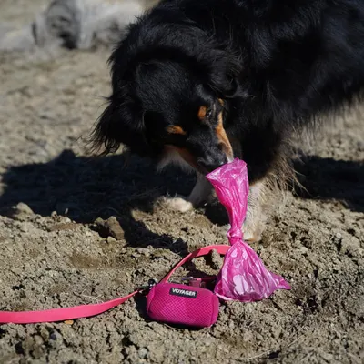 Shows the product being used in a natural outdoor setting with a dog, demonstrating real-world application and helping shoppers visualize the product in everyday use.