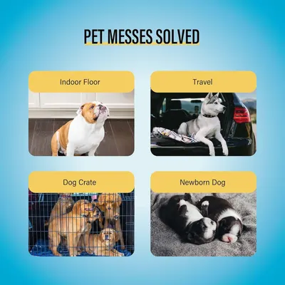 Demonstrates the product's versatility by showing four distinct use scenarios where pet messes can be managed, reassuring shoppers that the product works across multiple environments and situations.