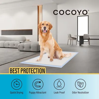 Communicates four distinct benefits of the pet training pad in a segmented layout to show shoppers why this product offers comprehensive protection and convenience for pet training.