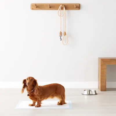 Demonstrates the product in a real-world home setting to help shoppers visualize how it fits into their daily life and living space.