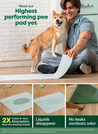 Communicates multiple key performance benefits of the pee pad through a segmented layout showing superior absorption speed, liquid disappearance, leak protection, and odor control to convince…
