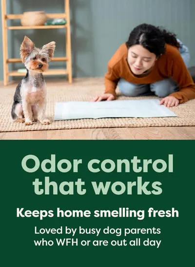 Communicates that the product effectively controls pet odors and keeps homes smelling fresh, particularly appealing to busy dog owners who work from home or are away during the day.