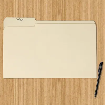 Provides a clean, catalog-style view of the file folder product on a neutral background to show its physical appearance and labeling capability.